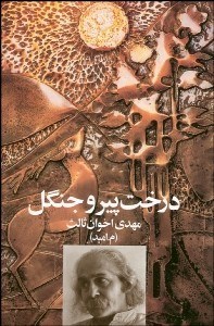 تصویر  درخت پير و جنگل