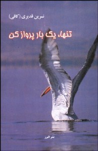 تصویر  تنها 1 بار پرواز كن