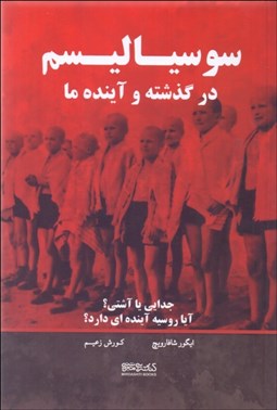 تصویر  سوسياليسم در گذشته و آينده ما (جدايي يا آشتي آيا روسيه آينده‌اي دارد)