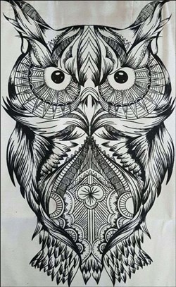 تصویر  كيف پارچه‌اي 37*40 پنبه (طرح جغد)