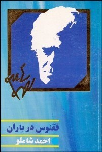 تصویر  ققنوس در باران