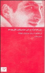 تصویر  دن كيشوت و پل دومرول ديوانه