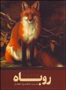 تصویر  روباه