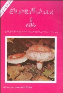 تصویر  پرورش قارچ در باغ و خانه