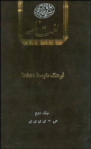 تصویر  فرهنگ متوسط دهخدا 2