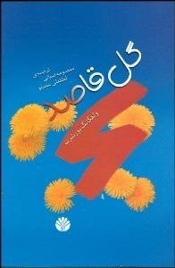 تصویر  گل قاصد