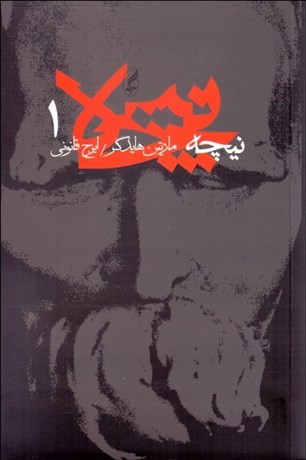 تصویر  نيچه 1