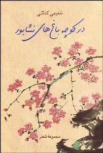 تصویر  در كوچه‌باغ‌هاي نيشابور