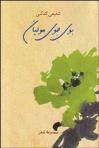 تصویر  بوي جوي موليان