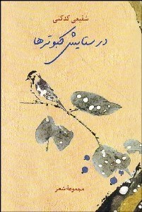 تصویر  در ستايش كبوترها