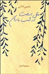 تصویر  مثل درخت در شب باران