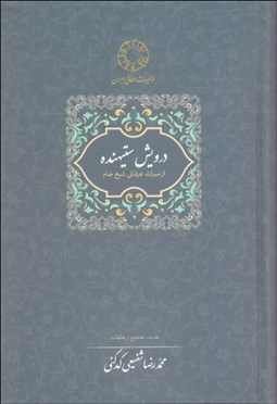 تصویر  درويش ستيهنده (از ميراث عرفاني شيخ جام)