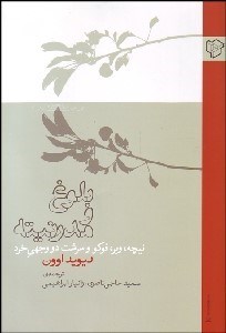 تصویر  بلوغ و مدرنيته (نيچه وبر فوكو و سرشت دو وجهي خرد)