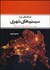 تصویر  ديدگاه‌هاي نو در سيستم‌هاي شهري