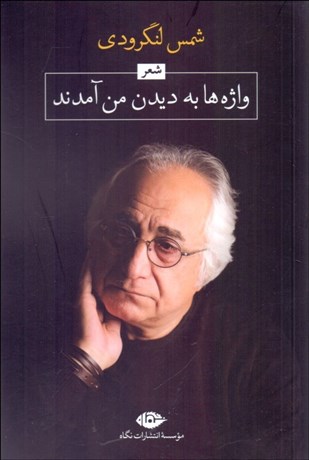 تصویر  واژه‌ها به ديدن من آمدند