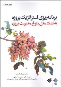 تصویر  برنامه‌ريزي استراتژيك پروژه به كمك مدل بلوغ مديريت پروژه