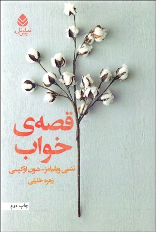 تصویر  قصه خواب (نمايشنامه)