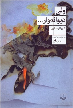 تصویر  ولي ديوانه‌وار