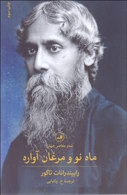 تصویر  ماه نو و مرغان آواره