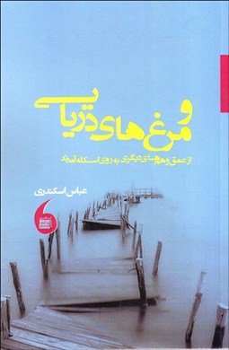 تصویر  و مرغ‌هاي دريايي از عمق وهم‌هاي ديگري به روي اسكله آمدند