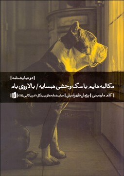 تصویر  مكالمه‌هايم با سگ وحشي همسايه - بالا روي بام(نمايشنامه)