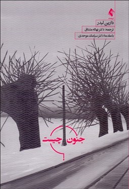 تصویر  جنون چيست