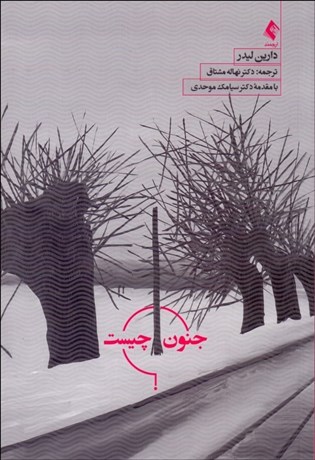 تصویر  جنون چيست