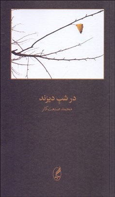 تصویر  در شب ديرند