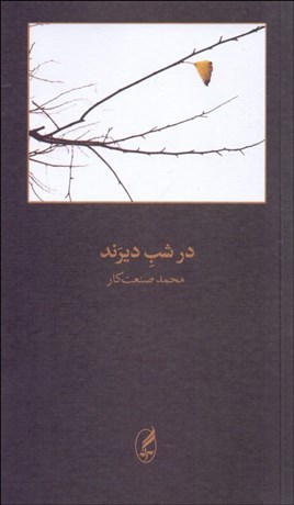 تصویر  در شب ديرند