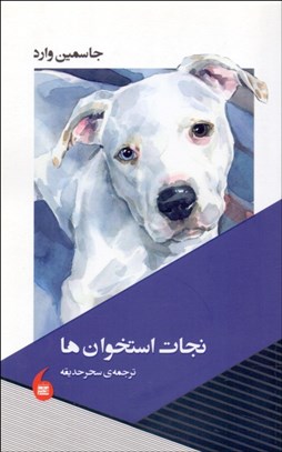 تصویر  نجات استخوان‌ها