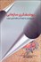 تصویر  روشنفكري سازماني (با رويكردي به فرهنگ و نظام اجرايي ايران)