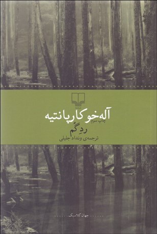 تصویر  رد گم