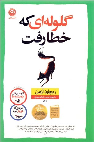 تصویر  گلوله‌اي كه خطا رفت