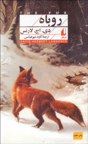 تصویر  روباه