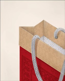 تصویر  فولدي بگ سايز دو 2034