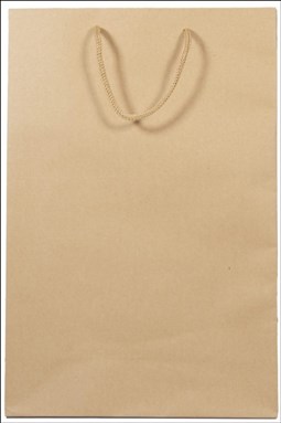 تصویر  ساك دستي كرافت الينو (17*24)