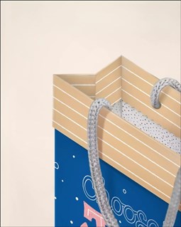 تصویر  فولدي بگ سايز دو 2036