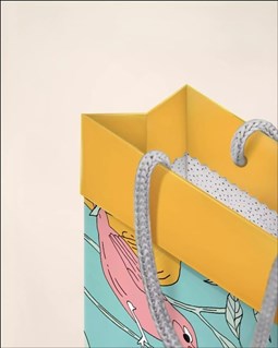 تصویر  فولدي بگ سايز دو 2038