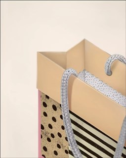 تصویر  فولدي بگ سايز دو 2037