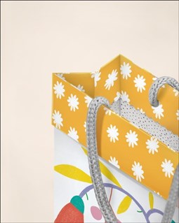 تصویر  فولدي بگ سايز دو 2039