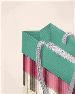 تصویر  فولدي بگ سايز سه 3062