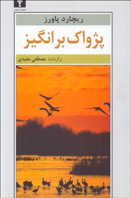 تصویر  پژواك‌برانگيز