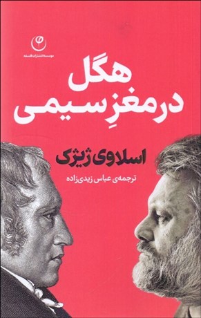 تصویر  هگل در مغز سيمي