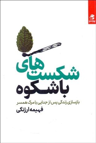 تصویر  شكست‌هاي با شكوه